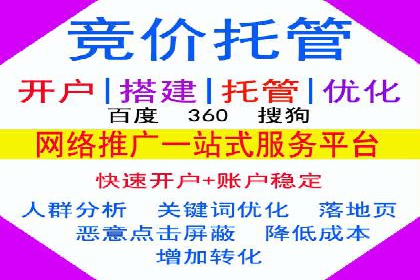 百度SEM代运营案例揭秘，如何实现ROI最大化